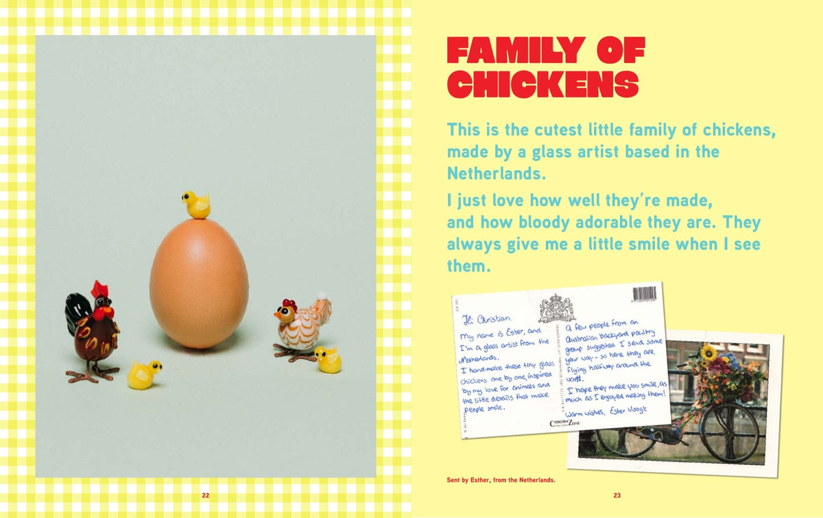 Inside the Mini Museum Memoir: Family of Chickens spread